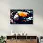 Other wall decoration - Pelican in Nature | Glass Wall Art - ARTDESIGNA