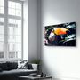 Other wall decoration - Pelican in Nature | Glass Wall Art - ARTDESIGNA