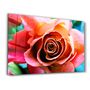 Other wall decoration - Floribunda Rose | Glass Wall Art - ARTDESIGNA