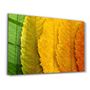 Other wall decoration - Depth Of Focus | Glass Wall Art - ARTDESIGNA