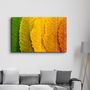 Other wall decoration - Depth Of Focus | Glass Wall Art - ARTDESIGNA