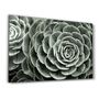 Autres décorations murales - Raindrops On Echeveria | Glass Wall Art - ARTDESIGNA