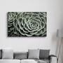 Autres décorations murales - Raindrops On Echeveria | Glass Wall Art - ARTDESIGNA