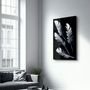 Other wall decoration - White Feathers | Glass Wall Art - ARTDESIGNA
