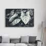 Other wall decoration - Elephant's Ears | Glass Wall Art - ARTDESIGNA