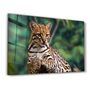 Other wall decoration - Just Chillin | Glass Wall Art - ARTDESIGNA