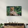 Other wall decoration - Just Chillin | Glass Wall Art - ARTDESIGNA