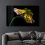 Autres décorations murales - In Peril Of One's Life V2 | Glass Wall Art - ARTDESIGNA