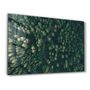 Other wall decoration - Divided Forest | Glass Wall Art - ARTDESIGNA