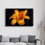 Other wall decoration - Orange Lily | Glass Wall Art - ARTDESIGNA