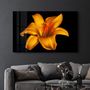 Other wall decoration - Orange Lily | Glass Wall Art - ARTDESIGNA