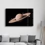 Autres décorations murales - Saturn 2 | Glass Wall Art - ARTDESIGNA