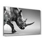 Autres décorations murales - Black Rhinoceros | Glass Wall Art - ARTDESIGNA