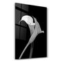 Autres décorations murales - Arum Lily | Glass Wall Art - ARTDESIGNA