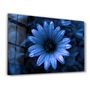 Other wall decoration - Blue Daisy | Glass Wall Art - ARTDESIGNA