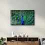 Other wall decoration - The Peacock | Glass Wall Art - ARTDESIGNA