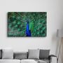 Other wall decoration - The Peacock | Glass Wall Art - ARTDESIGNA