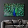 Other wall decoration - The Peacock | Glass Wall Art - ARTDESIGNA