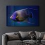 Other wall decoration - Exotic Fish | GLASS WALL ART - ARTDESIGNA