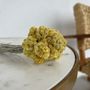 Floral decoration - Small bouquets of immortelle flowers - TERRA FIORA