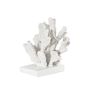 Decorative objects - AX24076 Set of 2 Coral polyresin bookends 25x20x18 cm - ANDREA HOUSE
