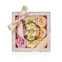 Beauty products - FESTIVE THEME - TENTATION