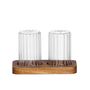 Crystal ware - MS24557 Acacia Glass Salt And Pepper Shakers - ANDREA HOUSE