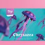 Design objects - Chrysaora hysoscella - PLEGO