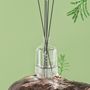 Scent diffusers - Theo To Embrace Rouge Diffuser 500ml - ETHEREAL