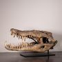 Pièces uniques - Crânes de Crocodylus Porosus - Les Irrésistibles - ATELIERS C&S DAVOY