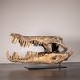 Unique pieces - Crocodylus Porosus - The Irresistibles - ATELIERS C&S DAVOY