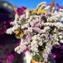 Décorations florales - Bouquet Kirsis - TERRA FIORA