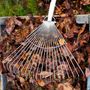 Garden accessories - Leaf Rake 20 tines - SNEEBOER