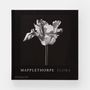 Stationery - Mapplethorpe Flora: The Complete Flowers - PHAIDON