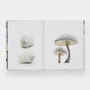 Papeterie - Still: The Art of Noticing - PHAIDON