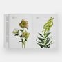 Papeterie - Guide des fleurs par couleurs - PHAIDON