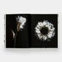Papeterie - Still: The Art of Noticing - PHAIDON