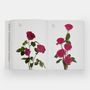 Papeterie - Guide des fleurs par couleurs - PHAIDON