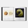 Stationery - Plant: Exploring the Botanical World - PHAIDON