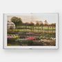 Stationery - The Tulip Garden: Growing and Collecting Species, Rare and Annual Varieties - PHAIDON