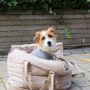 Accessoires animaux - RIO Dog bag carrier - TADAZHI
