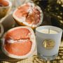 Candles - Tonka & Grapefruit Scented Candle 220g - SPIRIT OF PROVENCE