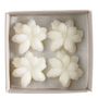 Scent diffusers - Box of 4 Freesia scented wax melt decorations - Freesia Délice - MATHILDE M.