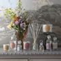 Bougies - Bougie parfumée Les Intemporelles 65 g - Fleur de Coton - MATHILDE M.