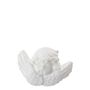 Scents - Tête d'Angelot scented decor - Rice Powder - MATHILDE M.