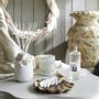 Scents - Plume scented decor - Rice Powder - MATHILDE M.
