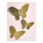 Other wall decoration - Set of 3 Butterflies - MATHILDE M.