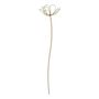 Objets de décoration - Fleur décorative - MATHILDE M.