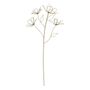 Decorative objects - Decorative flowers - MATHILDE M.