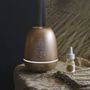 Scent diffusers - Les Intemporelles home fragrance superconcentrate 10 ml - Figuier Dolce - MATHILDE M.